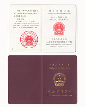 职业资格：二级