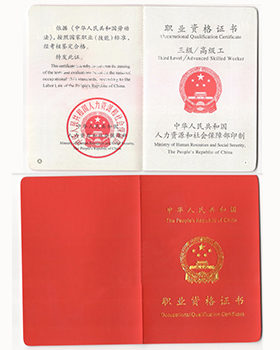 职业资格：三级